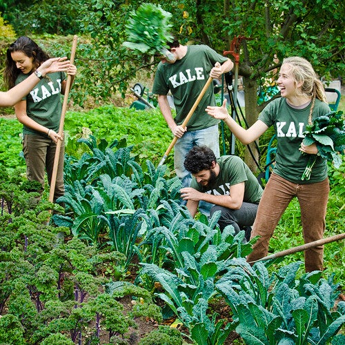 Students volunteer at the Yale Sustainable Food Project on Yale's teaching farm, one of many service opportunities available on campus and in the larger community.